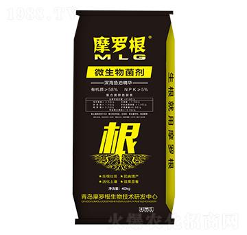 ΢�����������~(y��)�;��A��-Ħ�_��-���A����