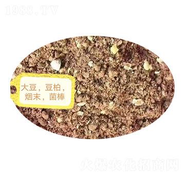 ������������ĩ��������-�Z�M�}