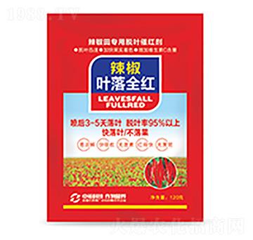 �����~��ȫ�t-�����Ƽ�