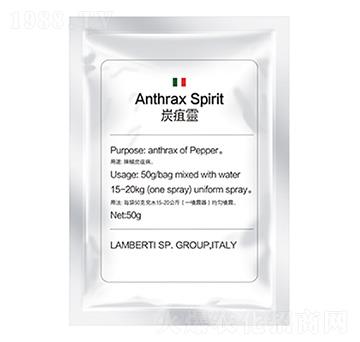 ̿���`-�����Ƽ�