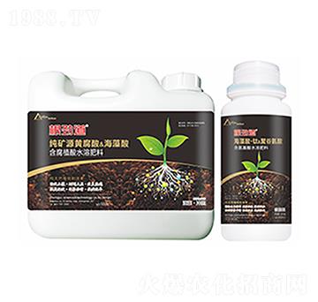 ���ŵ�-�����Ƽ�