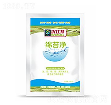 �d̦��-�����Ƽ�