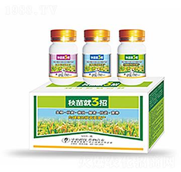 �����3��-�����Ƽ�