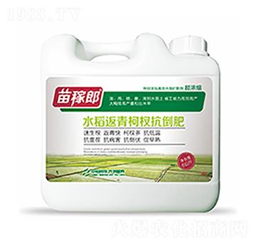 水稻返青柯杈抗倒肥-中?？萍? />
                                </div>
                            </div>
                            
                            <style type=