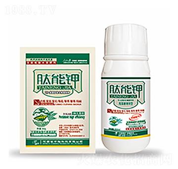 肽能鉀-中?？萍? />
                                </div>
                            </div>
                            
                            <style type=