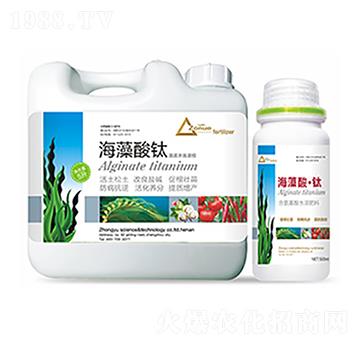 �������-�����Ƽ�