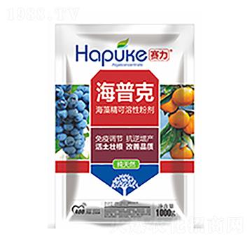 賽力海普克-中?？萍? />
                                </div>
                            </div>
                            
                            <style type=