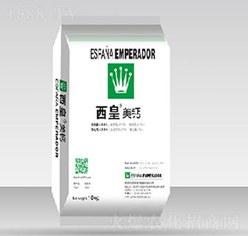 西皇美鈣-普雷斯頓