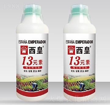 13元素-西皇-普雷斯頓