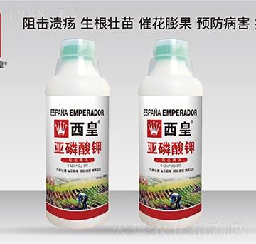 亞磷酸鉀0-525-375-西皇-普雷斯頓