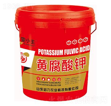 黃腐酸鉀-雯小主-啟力農(nóng)業(yè)