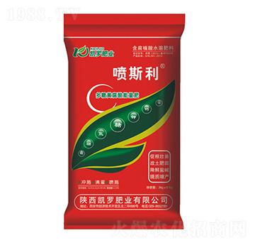 �ЙC�S����������-��˹��-�P�_�ʘI(y��)