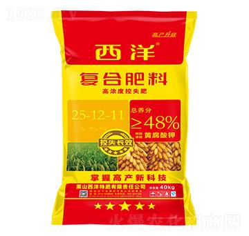 �ͺϷ���25-12-11-����ʘI(y��)