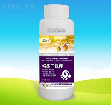 ��������-�n��ʘI(y��)