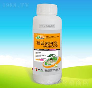 蕓苔素內(nèi)酯（500g）-韓邦肥業(yè)