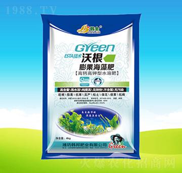 ��������-�ָ�-�n��ʘI(y��)