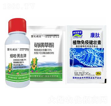 ����ݬȥ��+���ǲ�ͪ+