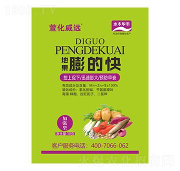 �ع���Ŀ�-�滯���h