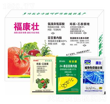 ������-�滯���h