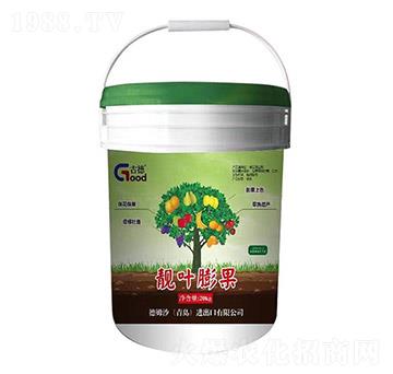 靚葉膨果-德姆沙