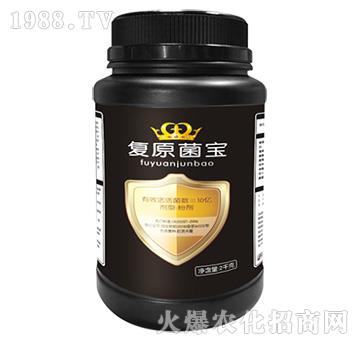 復(fù)原菌寶-葉芭緣農(nóng)