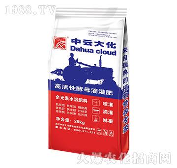 �߻��Խ�ĸ�ι��-���ƴ�