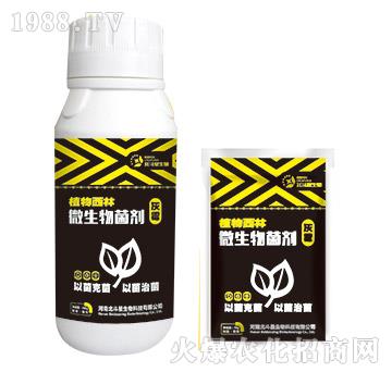 灰霉專用微生物菌劑-植物西林-北斗星