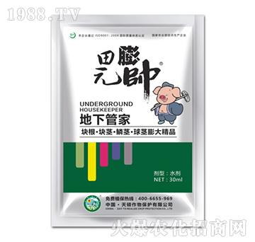 地下管家-天碩作物