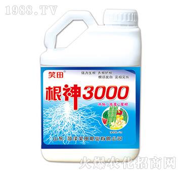 ����3000-Ц��