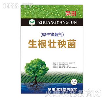 ΢�������-����������-Ц��