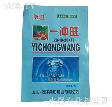 大量元素水溶肥20-10-20+TE-一沖旺-笑田