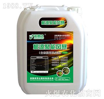 生根提苗抗腐型-根源聚能風暴-諾思達