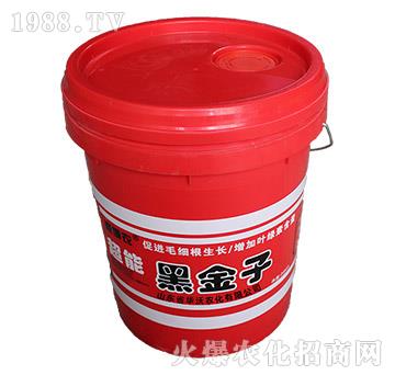 �ڽ���-�A���r��