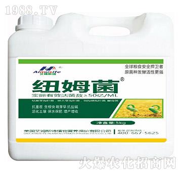 紐姆菌-艾姆斯特