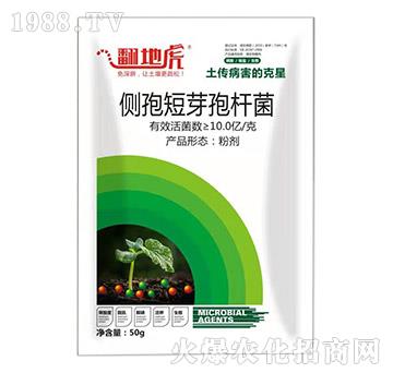 側(cè)孢短芽孢桿菌-翻地虎-碩達(dá)