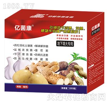 ����������-�|����R