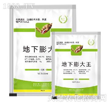 地下膨大王-億豐化工