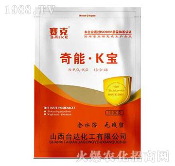 奇能·K寶-賽克-臺達