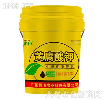 �S�����-���w�r(n��ng)�I(y��)