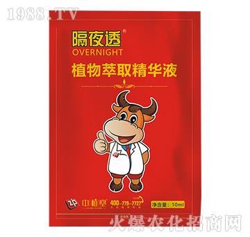植物萃取精華液-隔夜透-中植堂