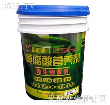 黃腐酸營養(yǎng)液劑-金麥稻
