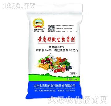 黃腐酸微生物菌劑-金和源-金麥稻