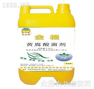 黃腐酸液體菌劑-金麥稻