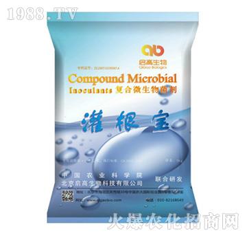 復(fù)合微生物菌劑-灌根寶-啟高生物