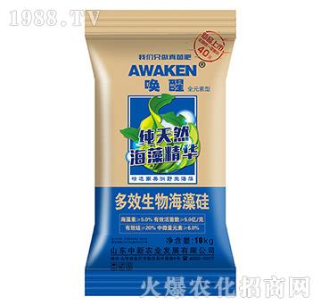 ��Ч���ﺣ���-����-