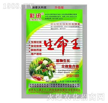 ֲ�����LȫЧ������-��