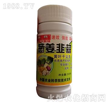 瓶裝蔥姜韭酸黃葉干尖靈-標(biāo)兵-漯豐王