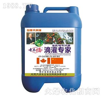 滴灌專家-棗來(lái)福-漯豐王