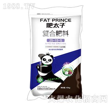 復(fù)合肥料25-15-5-肥太子