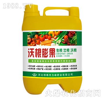 �ָ����-���